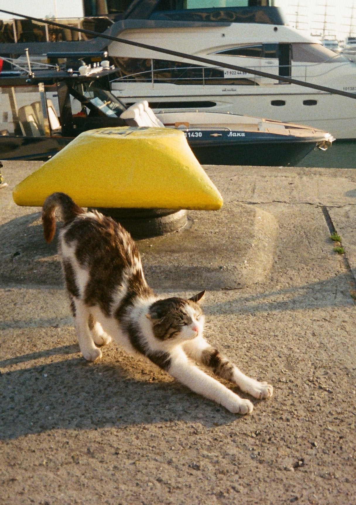 Kodak ColorPlus 200 36exp 35mm Color Negative Film