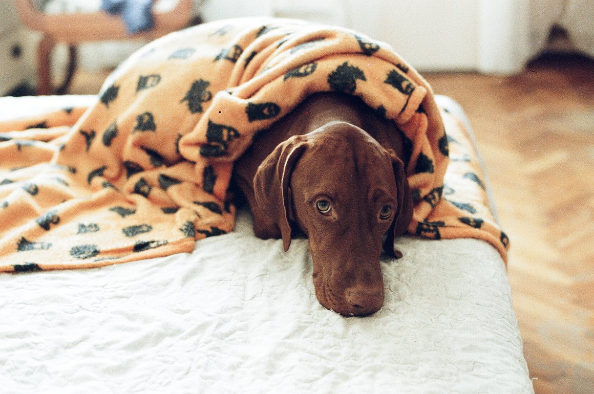 AgfaPhoto Color 400 35mm Film