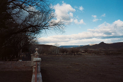 Konica Centuria 400 24exp Expired 35mm Film(roll)