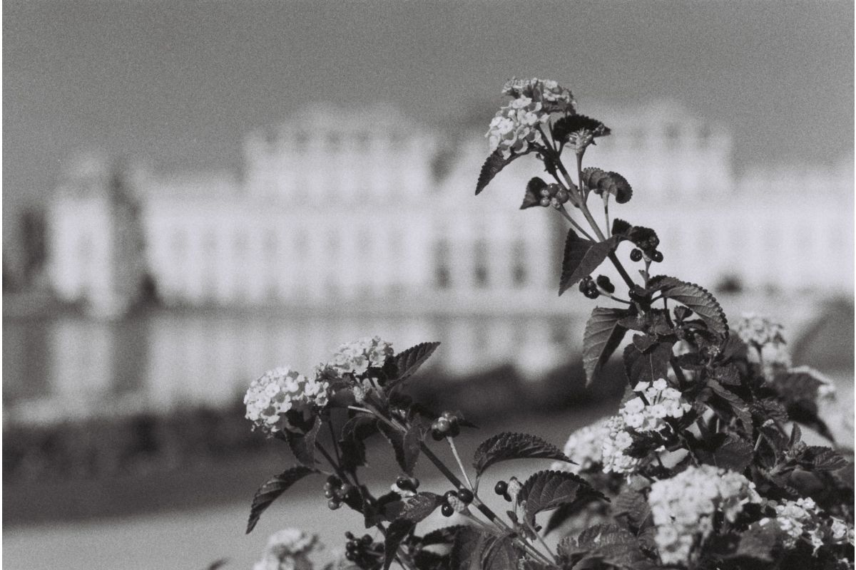 Lomography Berlin Kino 400 35mm B&W Film