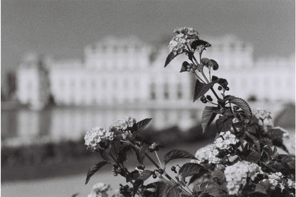 Lomography Berlin Kino 400 35mm B&W Film