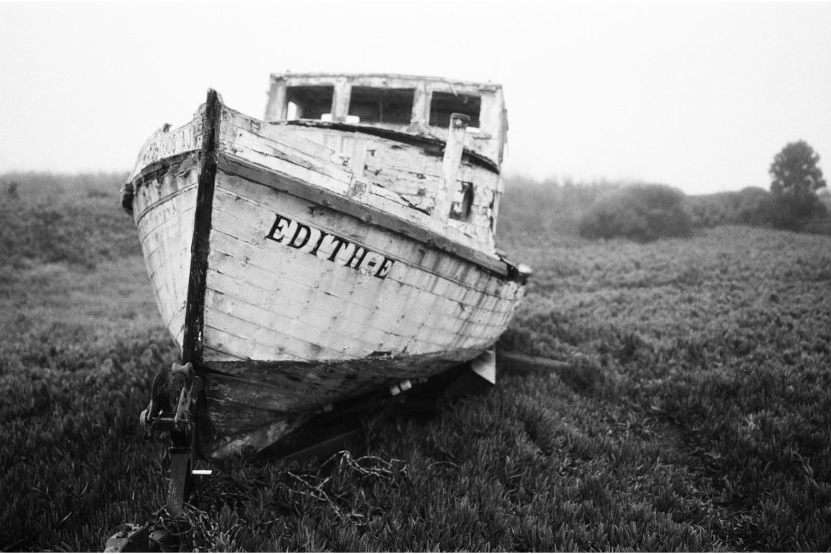 Lomography Potsdam Kino ISO 100 35mm B&W Film