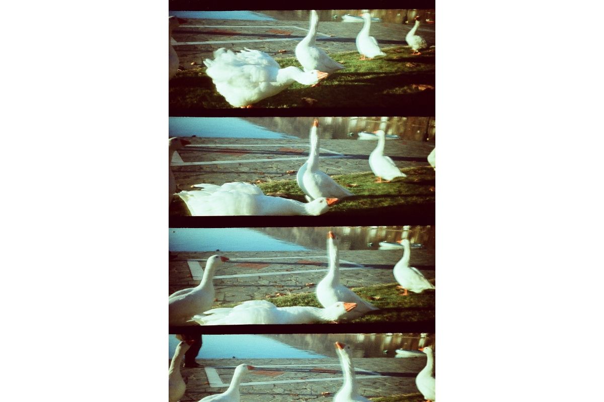 Lomography LomoKino 35mm 電影相機
