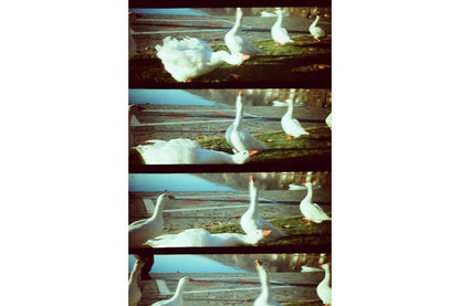 Lomography LomoKino 35mm 電影相機