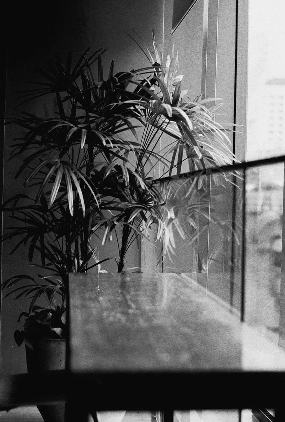 GLIMPES 100 Black and White 35mm 36exp Film