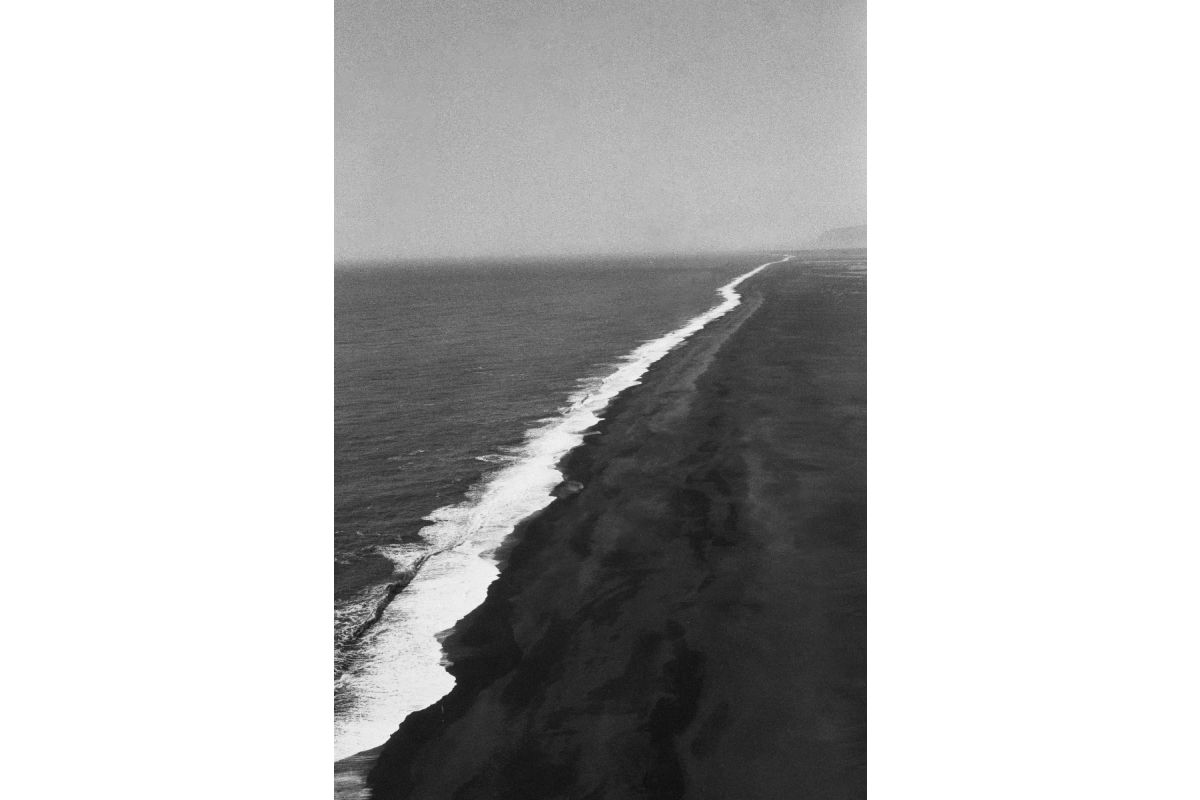 Lomography Lady Grey  ISO 400 35mm B&W Film (roll)