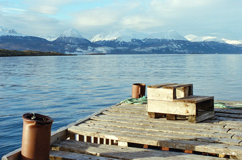 Lomography 800 36exp 35mm Color Negative Film