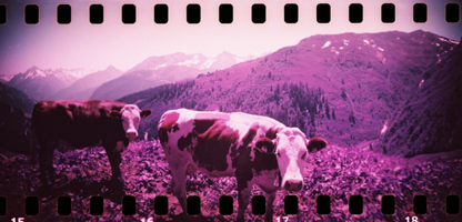 Sprocket Rocket 35mm 全景菲林相機