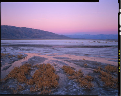 Kodak Ektachrome E100 4x5” 10 Sheets