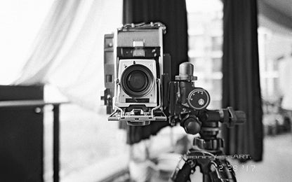 MeaninglessART Slavich 200 Black and White Film
