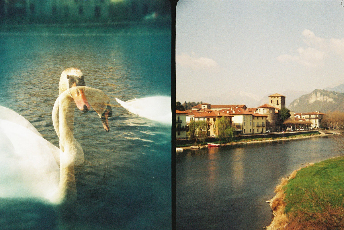 Holga 135 Tim Film Camera半格菲林相機