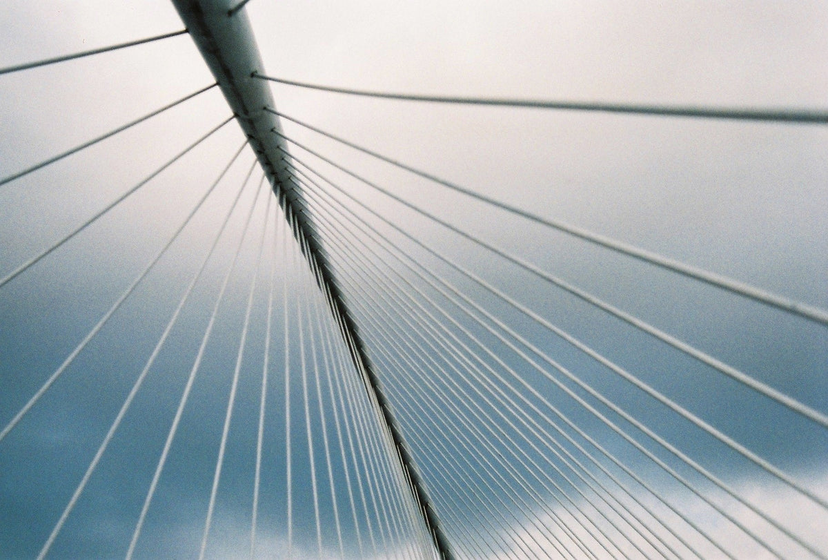 Kodak Gold 200 120 Color Film