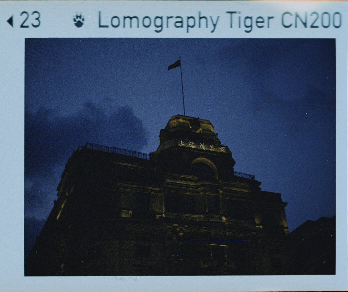 Holga Micro 110 Film Camera + Lomography Tiger 200 110 Film Set