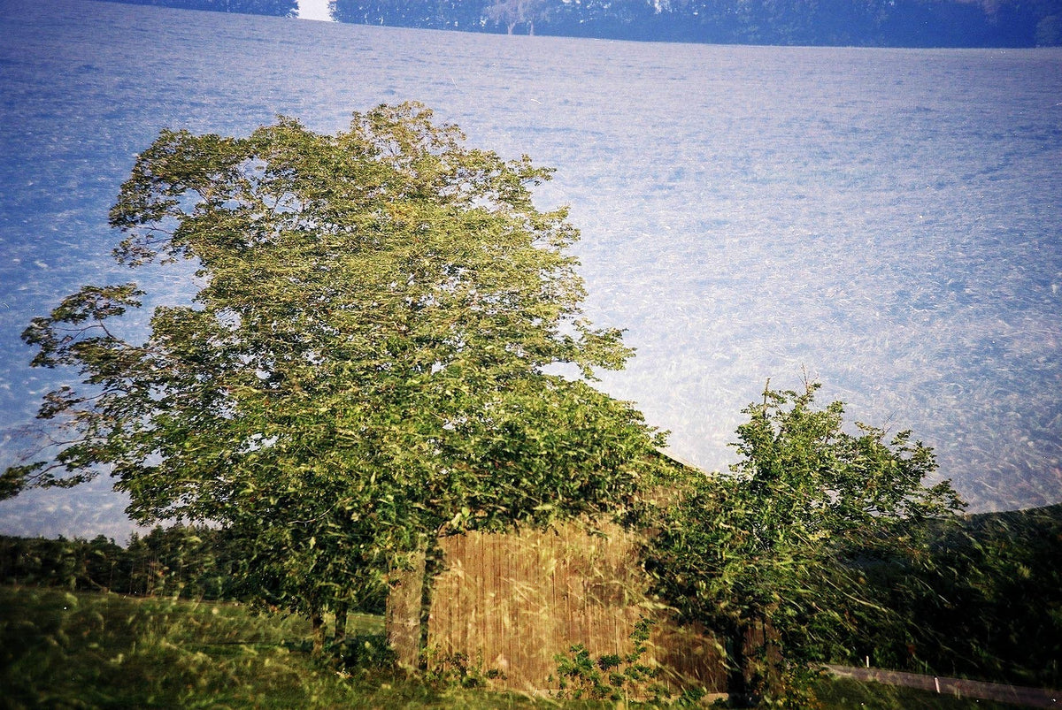 Fujifilm fujicolor PRO160 NS 120 Color Expired Film (Roll)