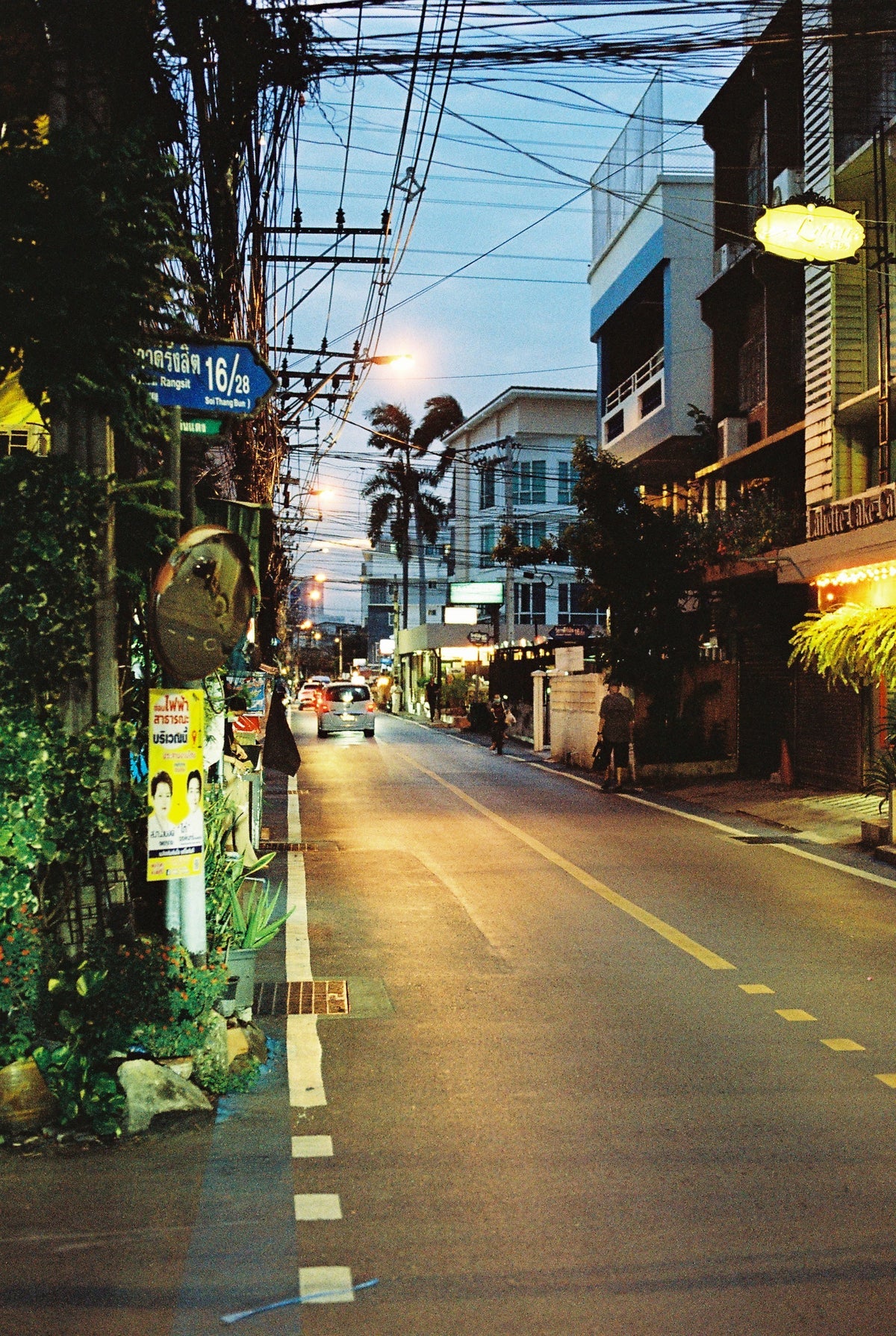 Alien Color Film CN800 Ultimate 36exp 35mm Negative Film