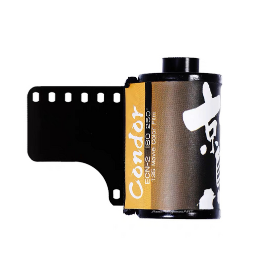 MeaninglessART 250D鷲 Motion Picture Film