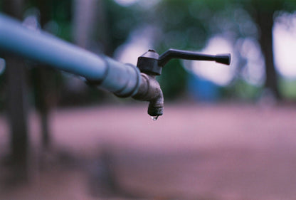 Agfa Photo HDC Plus 100 15exp Expired Film (2002)