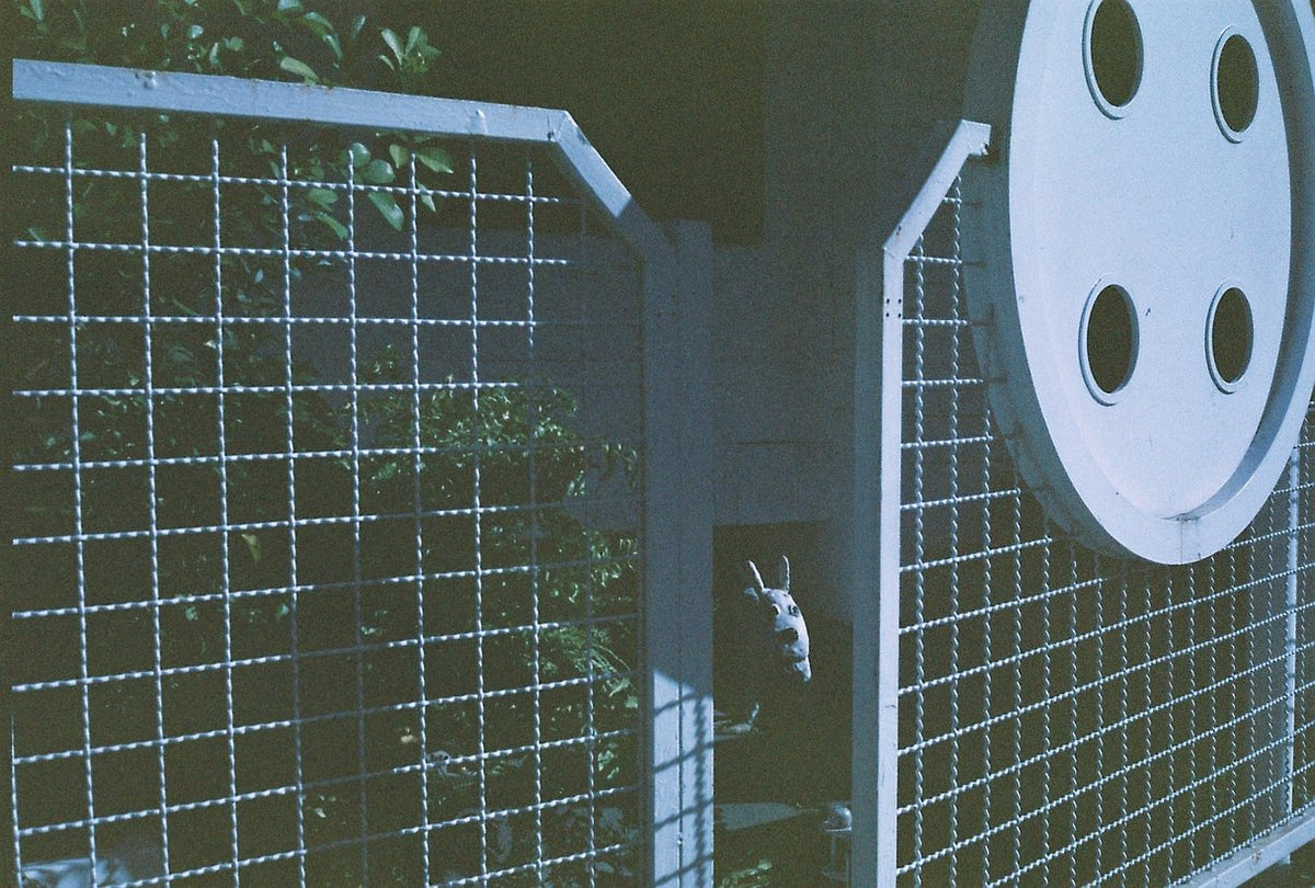 Perutz Primera SC 100 24-Exposure Expired Film (July 1998)