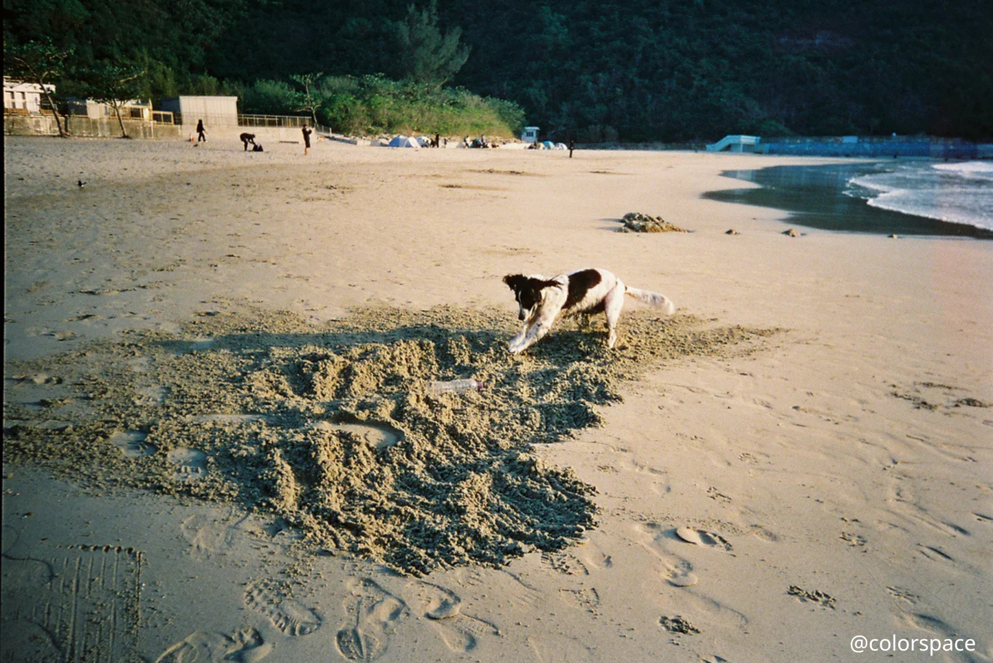 全新推出✨ KODAK Snapic A1 35mm Film Camera