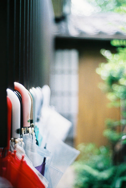 Fujifilm Natura 1600 36exp 35mm Color Expired Film