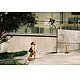 CineStill 400D Color Negative 35mm Film 36EXP