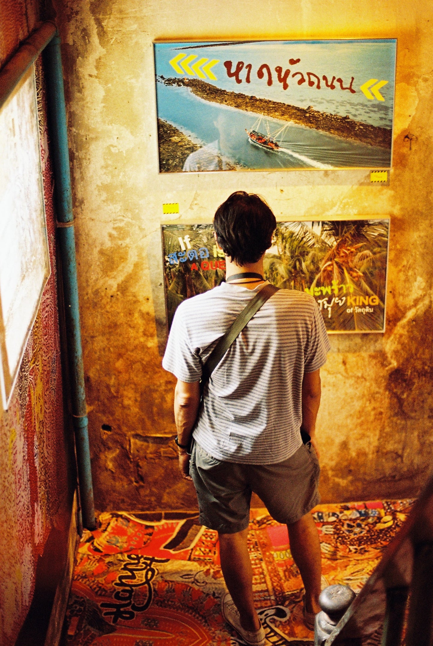 Alien Color Film CN800 Ultimate 36exp 35mm Negative Film