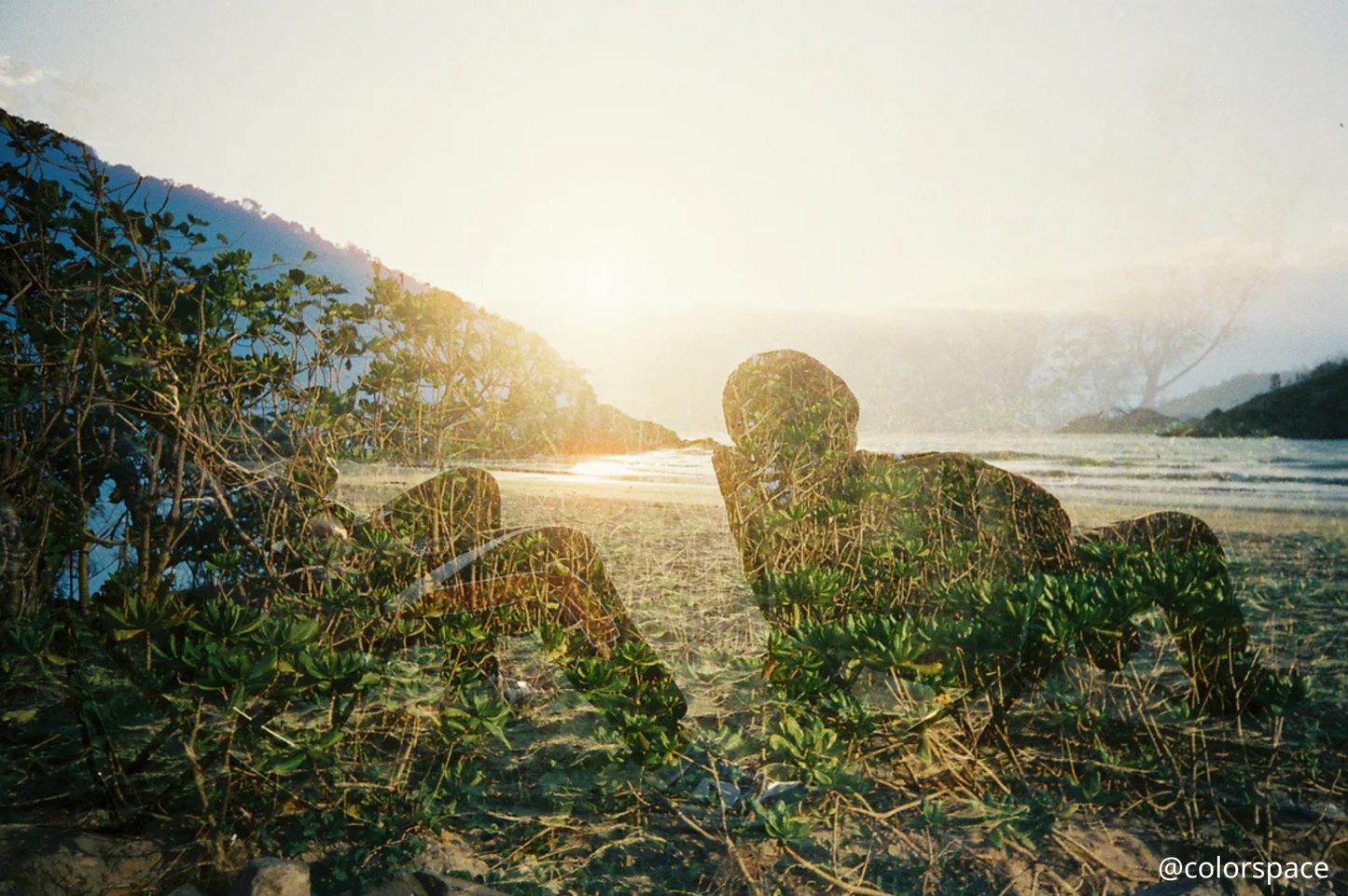 全新推出✨ KODAK Snapic A1 35mm Film Camera