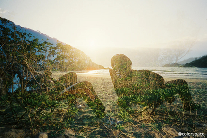全新推出✨ KODAK Snapic A1 35mm Film Camera