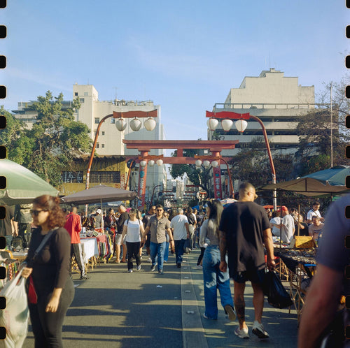 Alien Kodak Vision 3 250D 5207 iMax 120 Color Negative Film