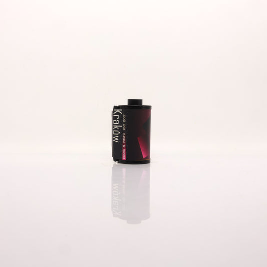 MeaninglessART Slavich 200 Black and White Film