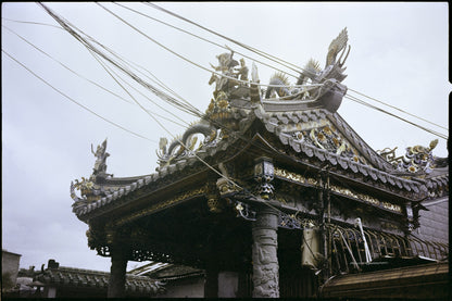 MenainglessART MB-200 Color negative 35mm film