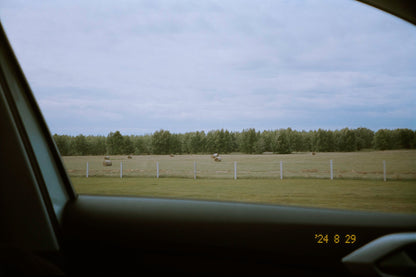 MenainglessART MA-100 Color negative 35mm film