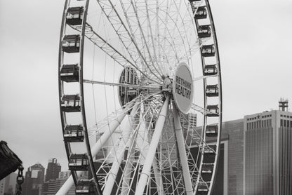 meaninglessART 35mm ISO 1 B&W Direct Positive 35MM Film