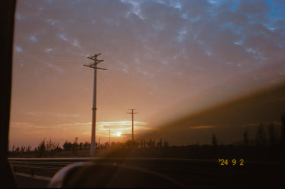 MenainglessART MA-100 Color negative 35mm film