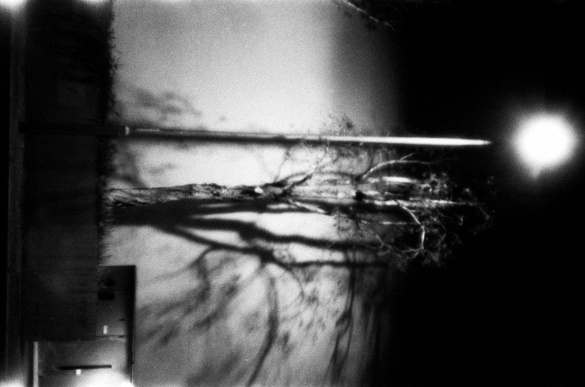 Rollei RPX 400 36exp 35mm B&W Film