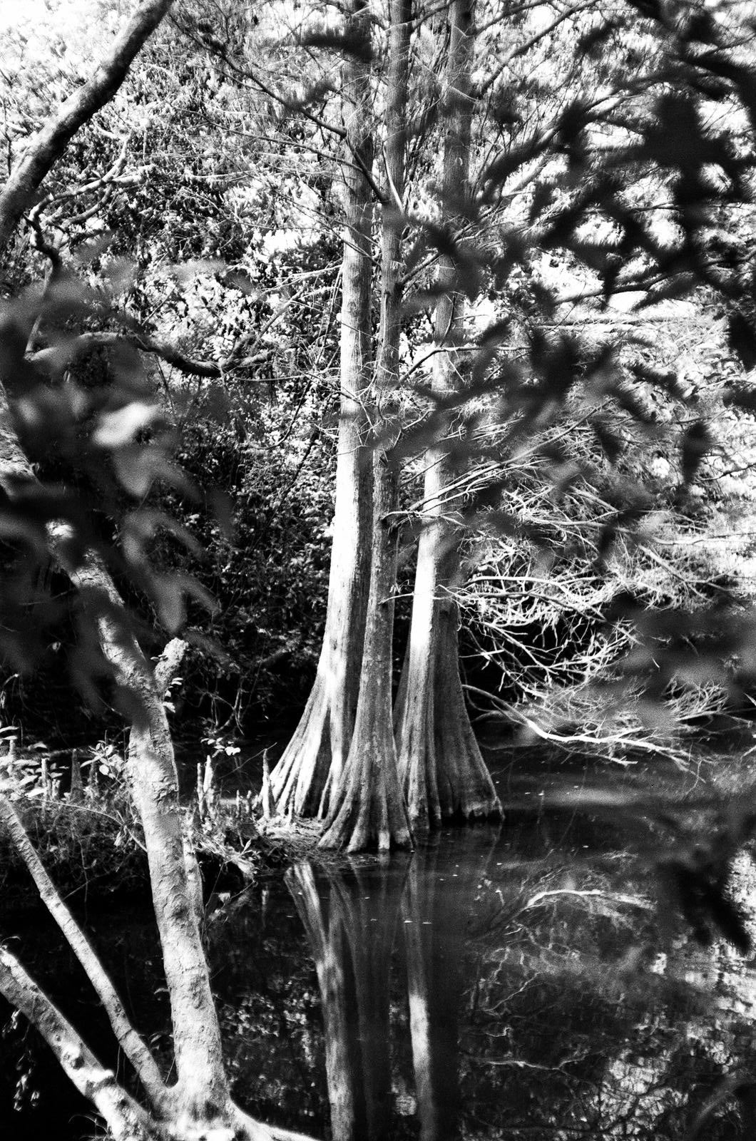 Rollei RPX 400 36exp 35mm B&W Film
