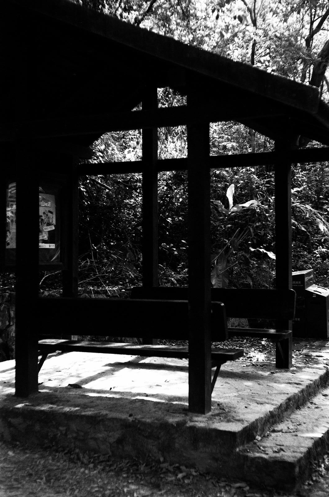 Rollei RPX 400 36exp 35mm B&W Film