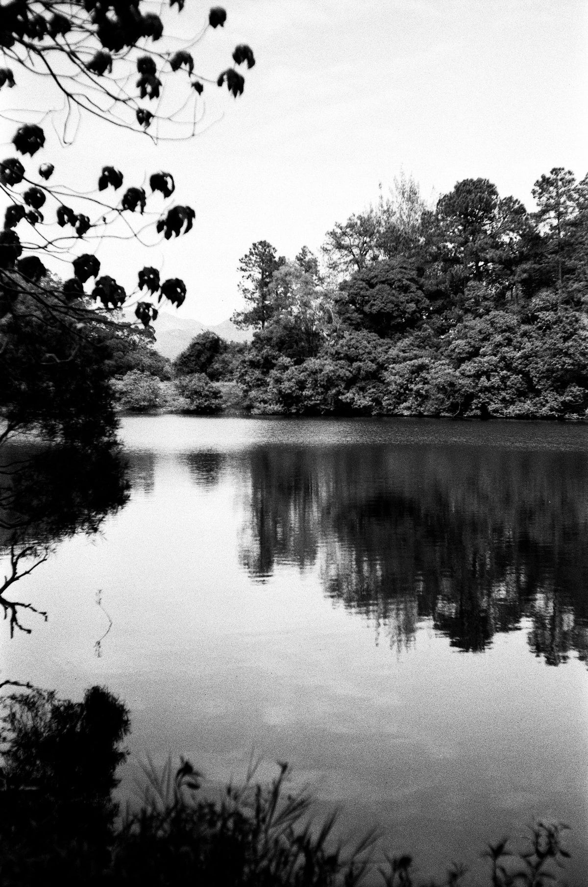 Rollei RPX 400 36exp 35mm B&W Film