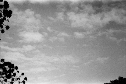 Rollei RPX 400 36exp 35mm B&W Film