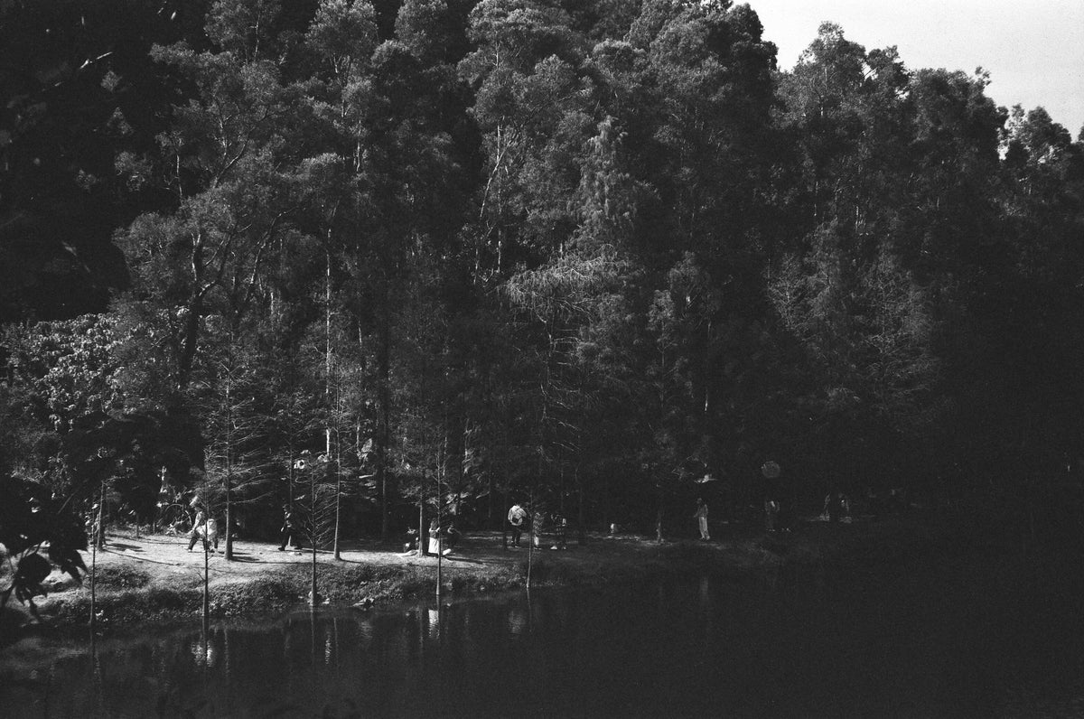 Rollei RPX 400 36exp 35mm B&W Film