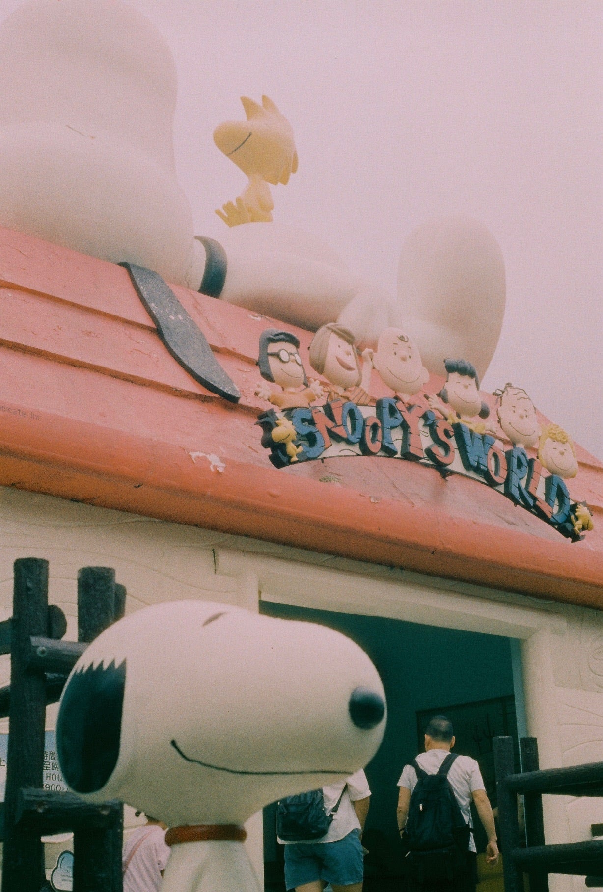 HARMAN Phoenix II 35mm 36exp