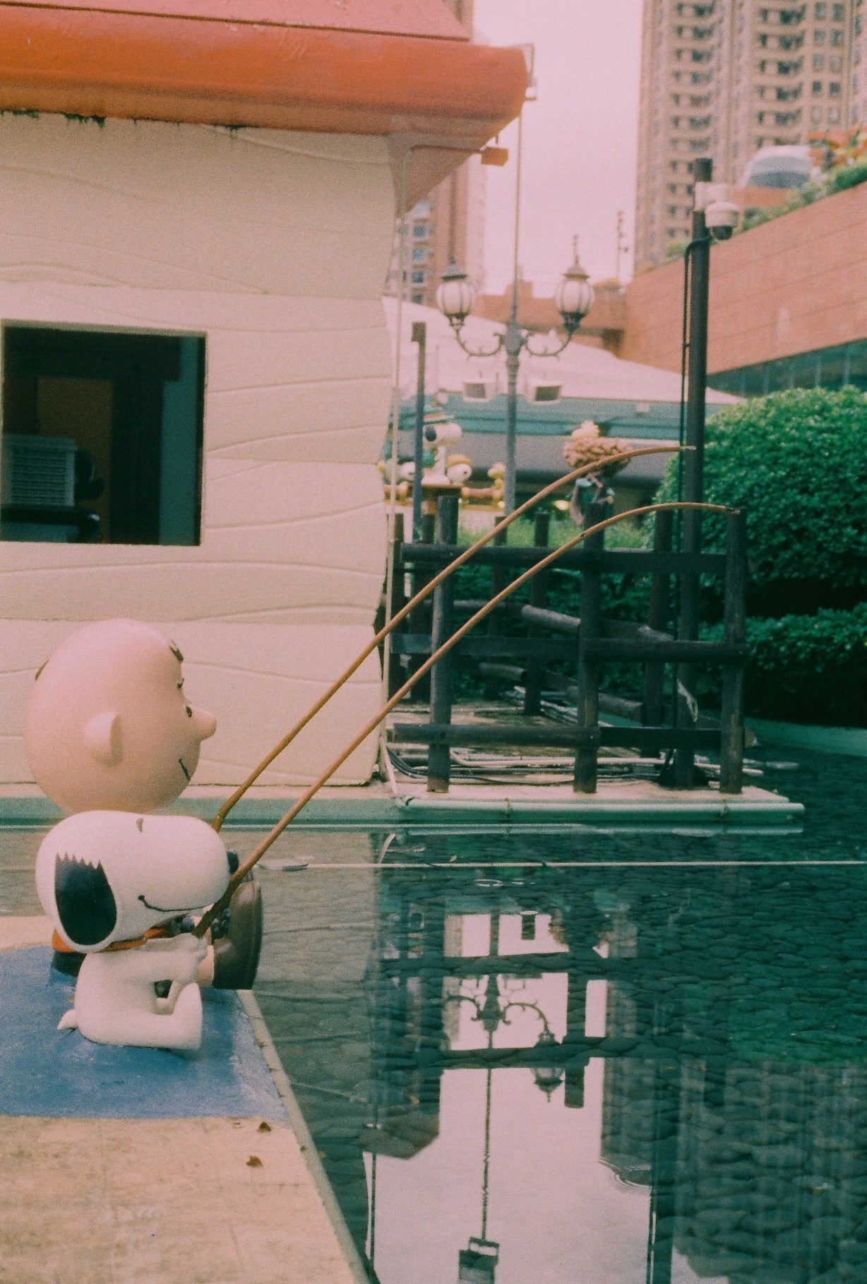 HARMAN Phoenix II 35mm 36exp