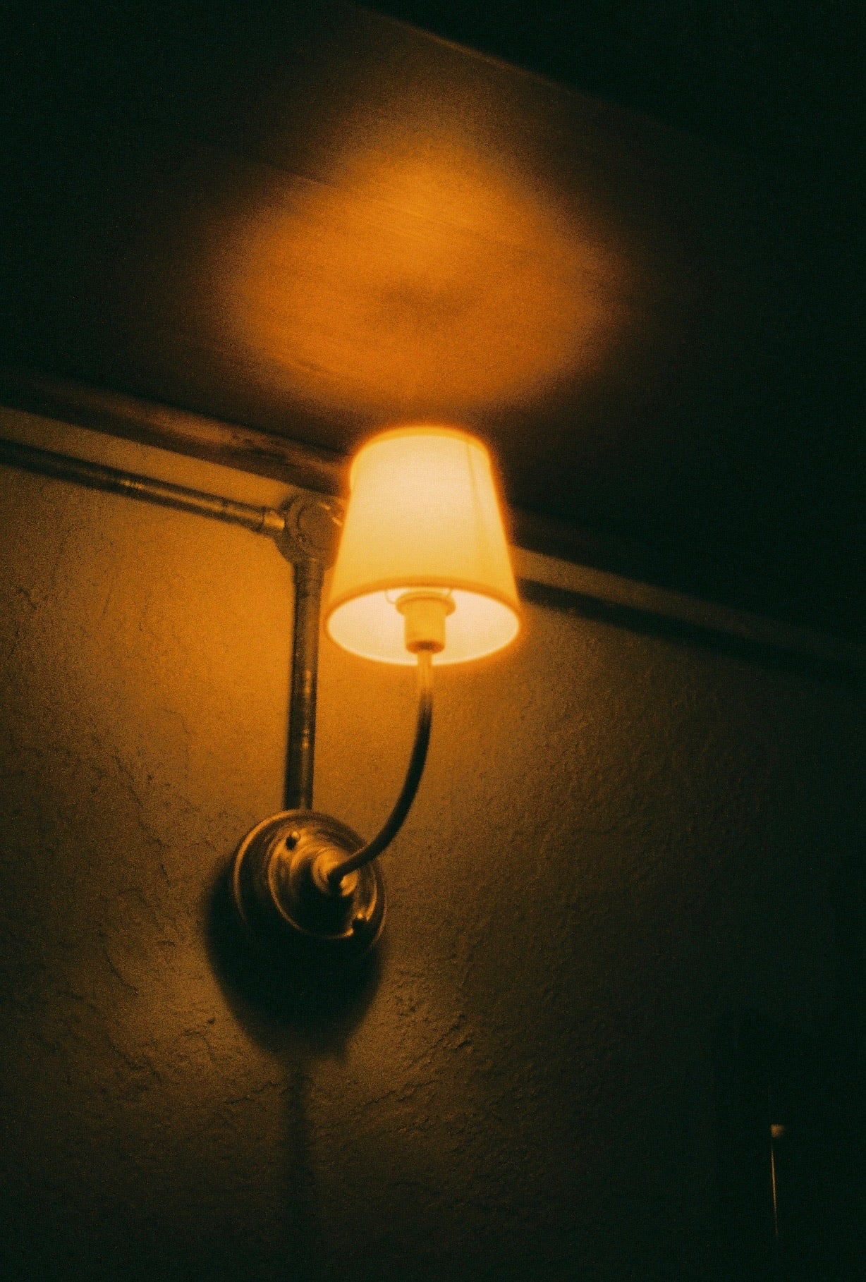 HARMAN Phoenix II 35mm 36exp