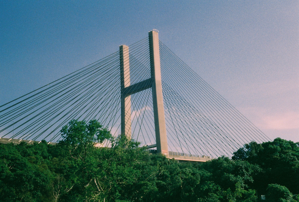 HARMAN Phoenix II 35mm 36exp