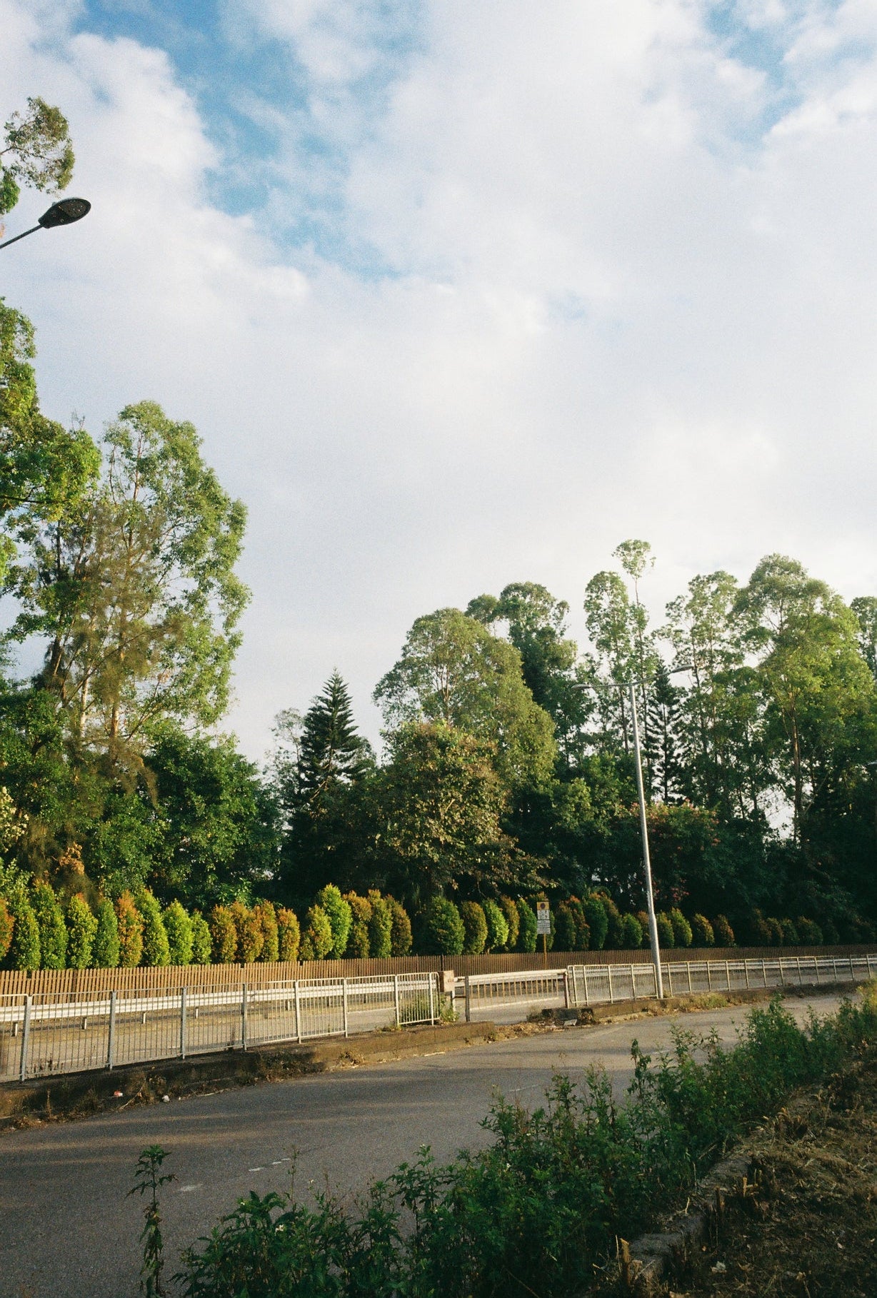 Fujifilm Fujicolor 200 36exp 35mm Color Film