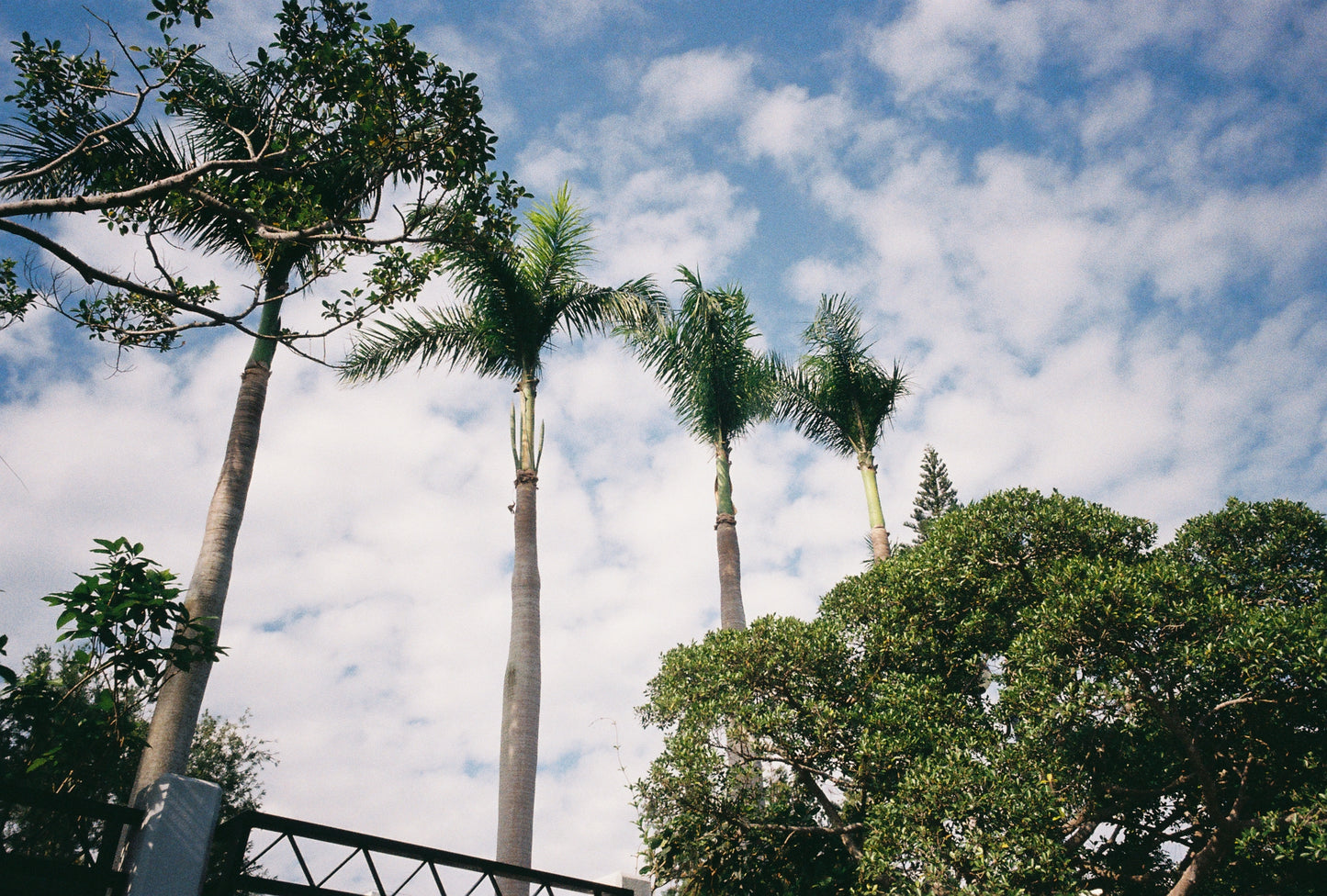 Fujifilm Fujicolor 200 36exp 35mm Color Film