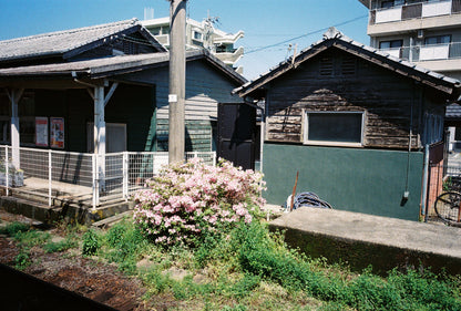 Kodak Ultramax 400 36exp 35mm Color Film