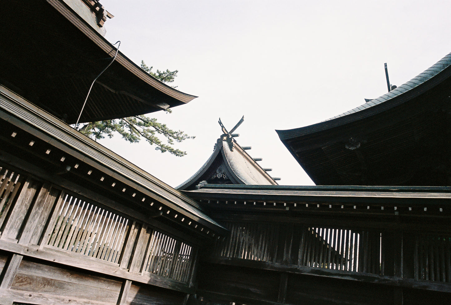 Kodak Portra 400 36exp 35mm Color Film