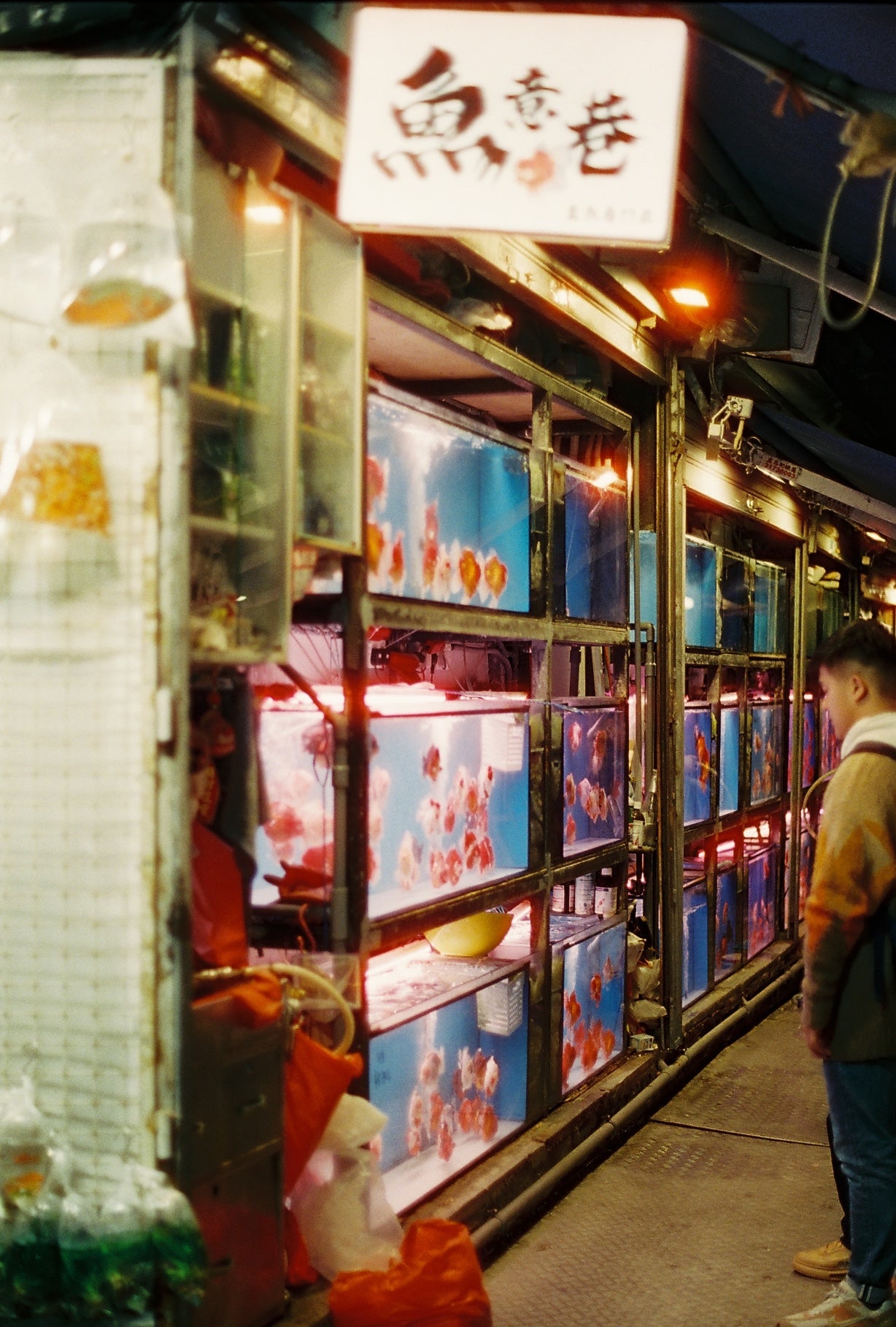 CineStill 800T Color Negative 35mm Film 36EXP