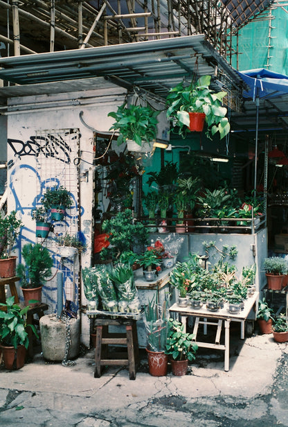 Fujifilm Superia Venus 400 27exp Expired Film (roll)